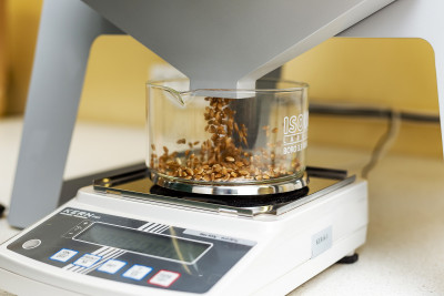 Augu paraugu analīze LAAPC laboratorijā